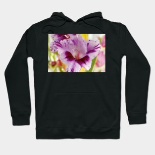 Gladiolus  'Passos' Hoodie